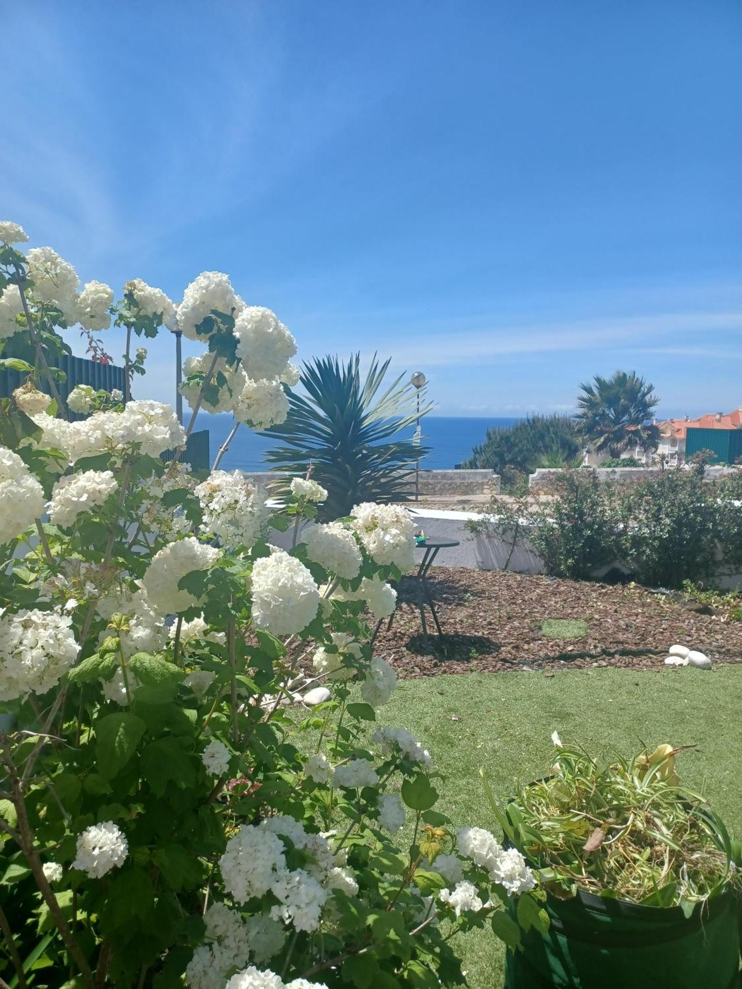 Ericeira Su Villa'S Zewnętrze zdjęcie