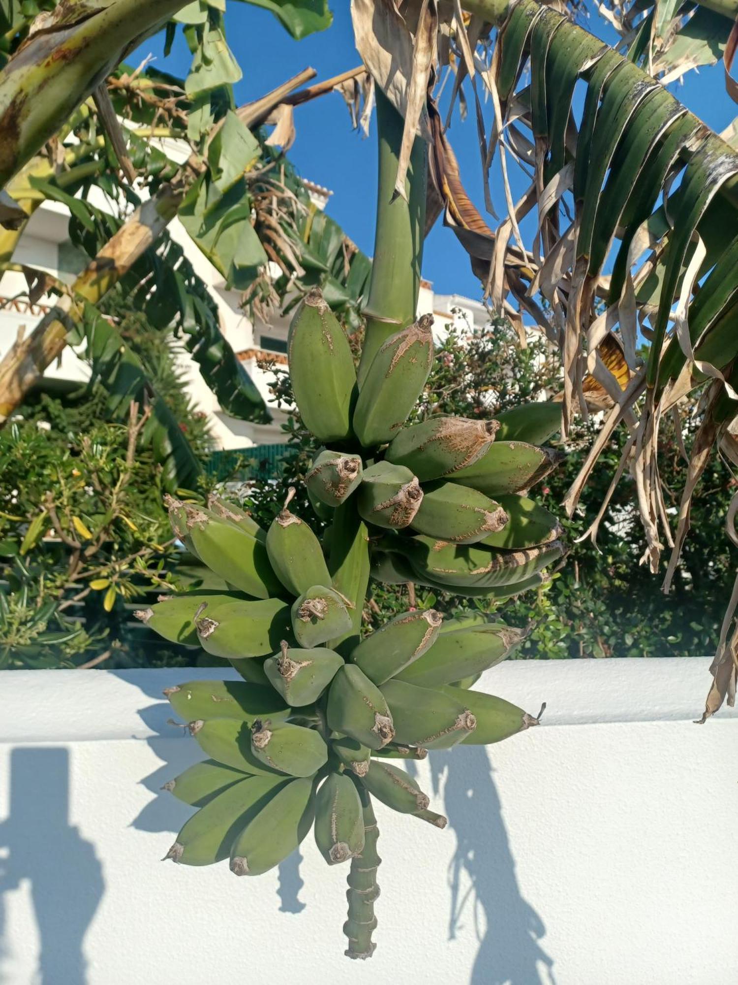 Ericeira Su Villa'S Zewnętrze zdjęcie
