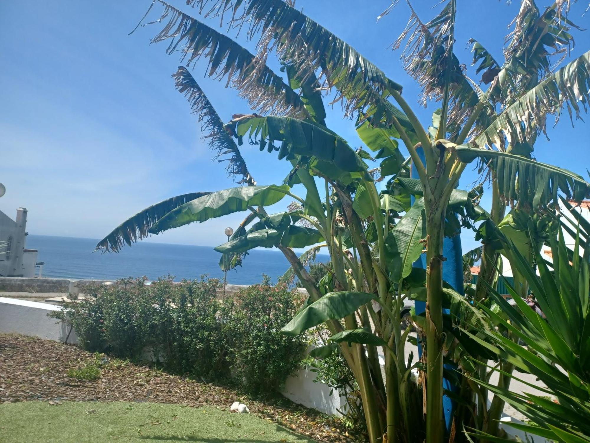 Ericeira Su Villa'S Zewnętrze zdjęcie