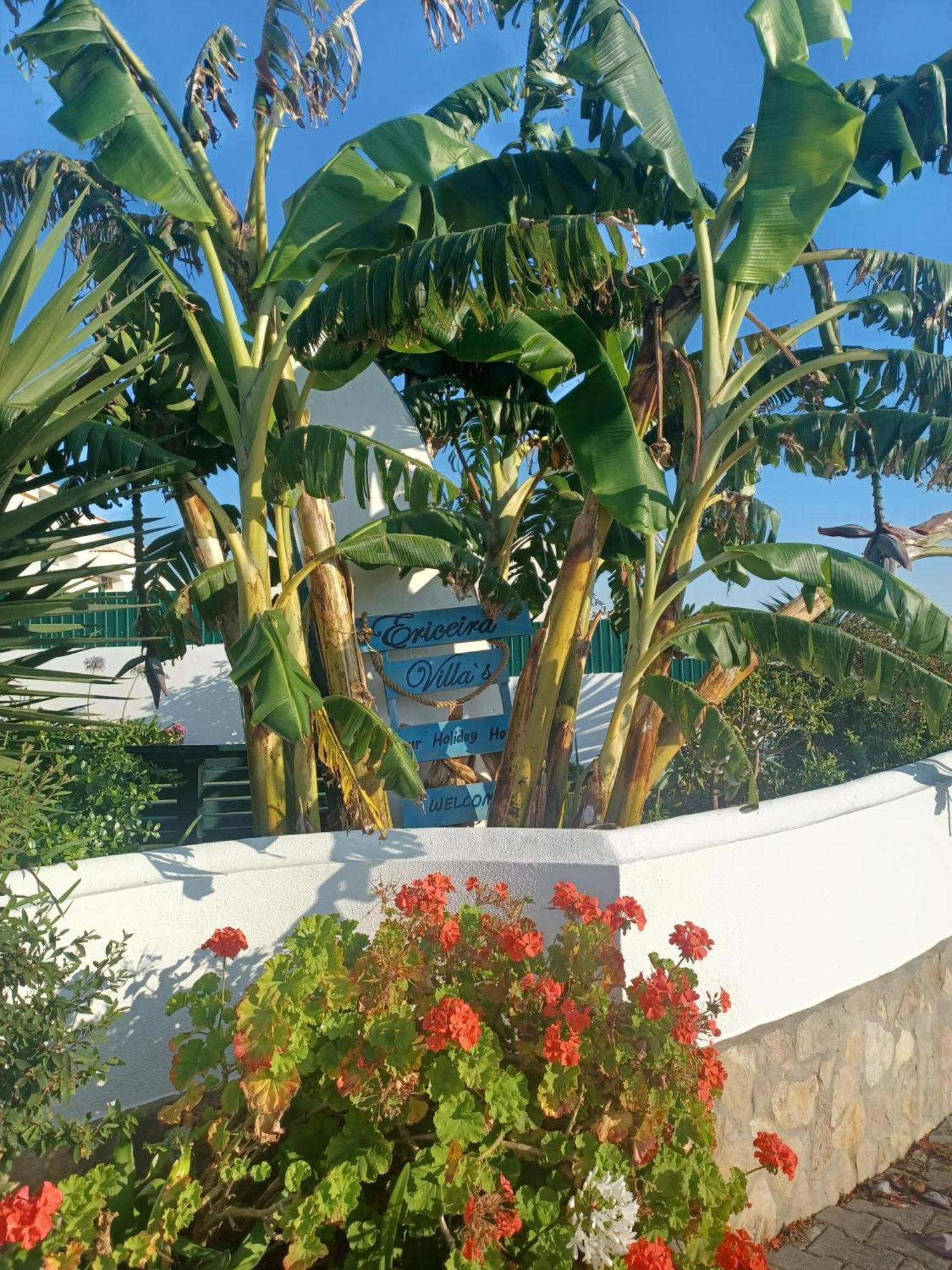 Ericeira Su Villa'S Zewnętrze zdjęcie