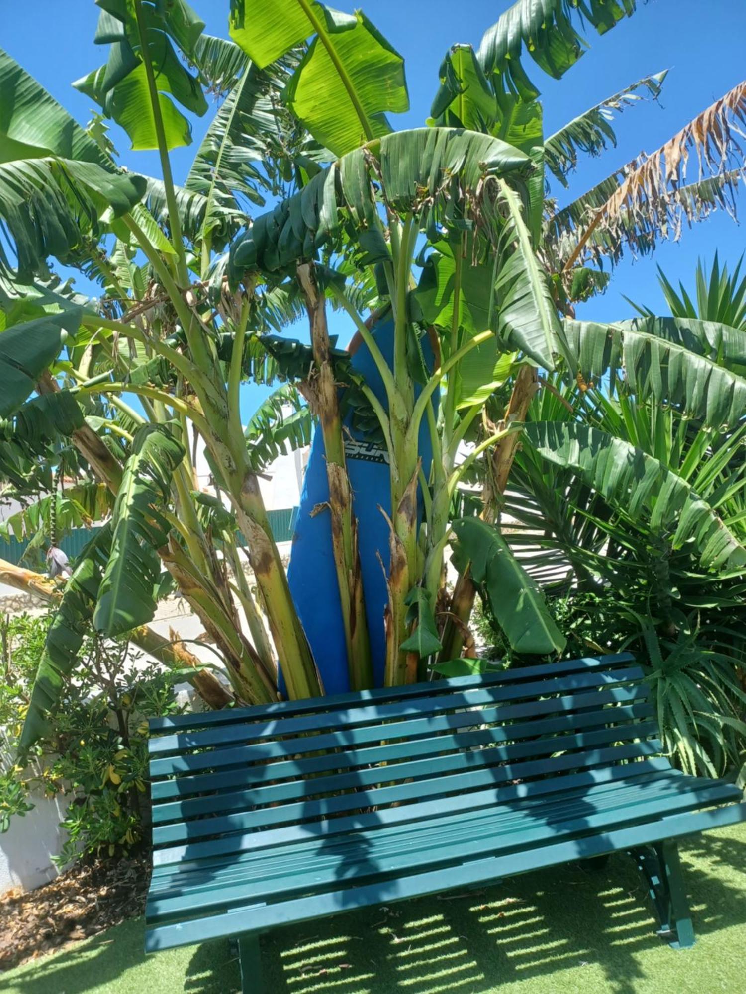 Ericeira Su Villa'S Zewnętrze zdjęcie