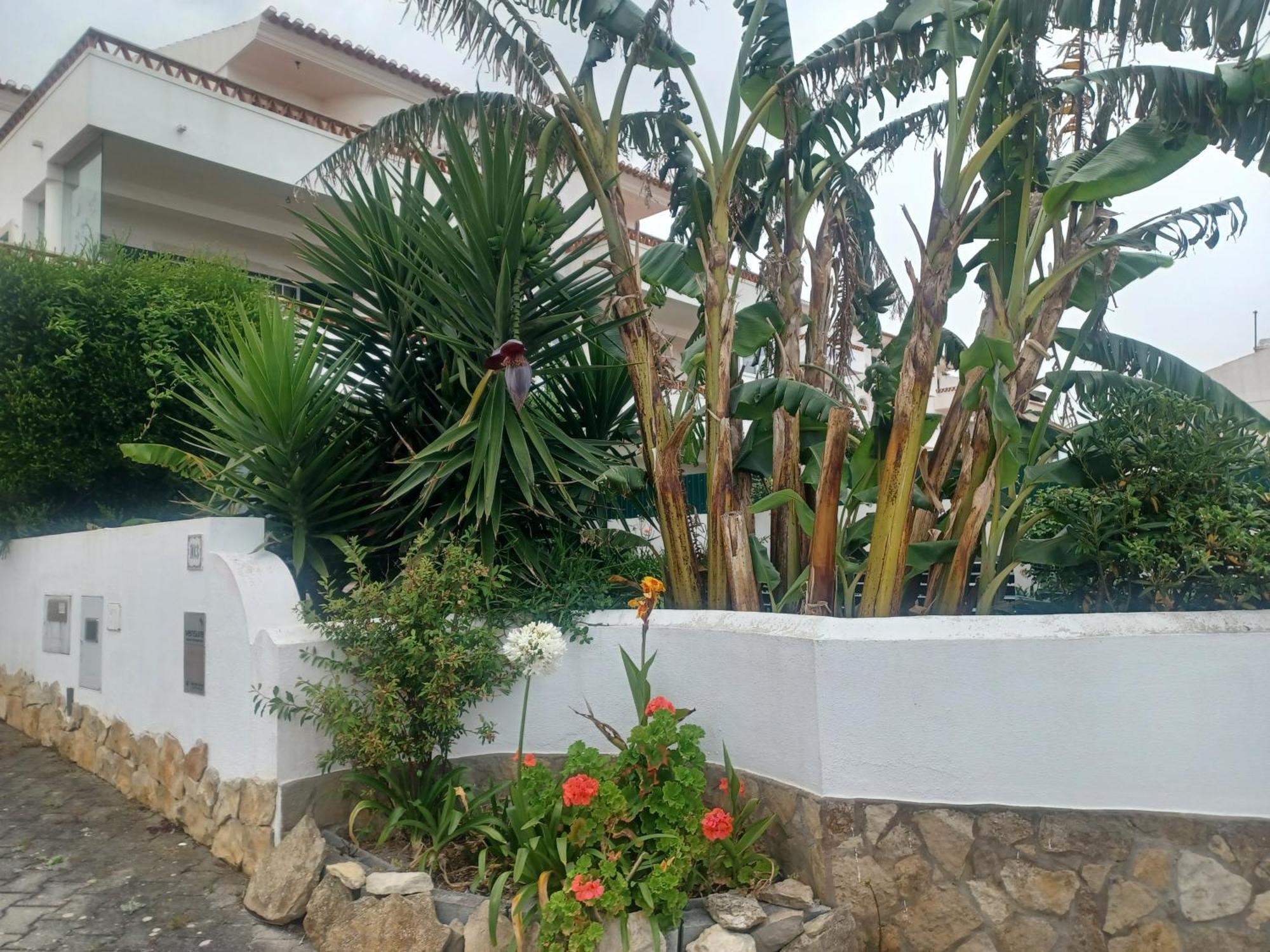 Ericeira Su Villa'S Zewnętrze zdjęcie